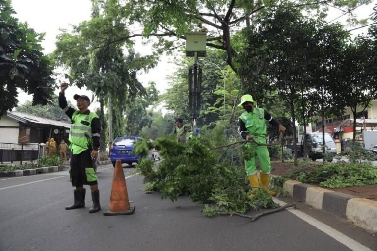 Korban Pohon Tumbang di Kota Tangerang Bisa Klaim Asuransi, Begini Caranya