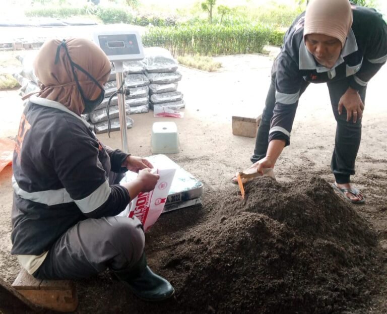 Tangerang Pakai Metode Biokonversi untuk Pengolahan Sampah, Begini Caranya