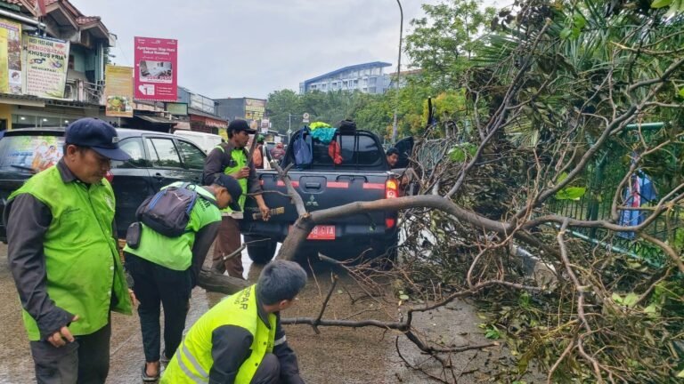 14 Pohon Tumbang di Tangerang, Warga Diimbau Waspada 14 Pohon Tumbang di Tangerang, Warga Diimbau Waspada