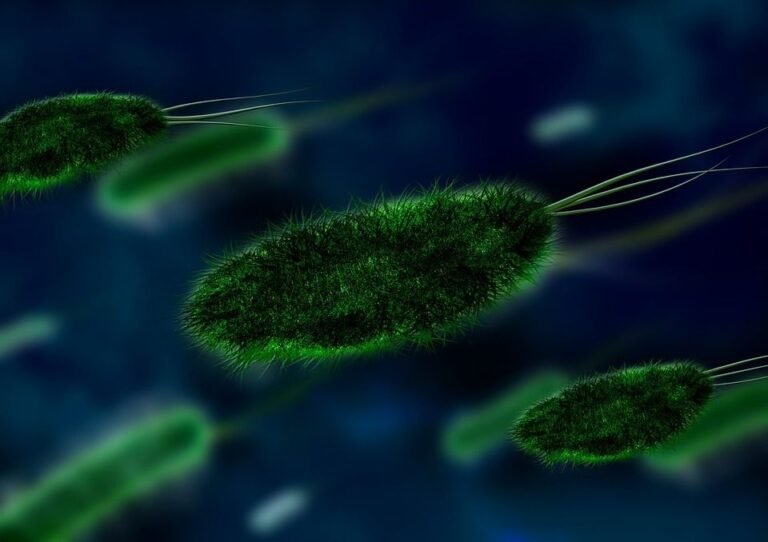 10 Warga Kabupaten Tangerang Meninggal Akibat Leptospirosis