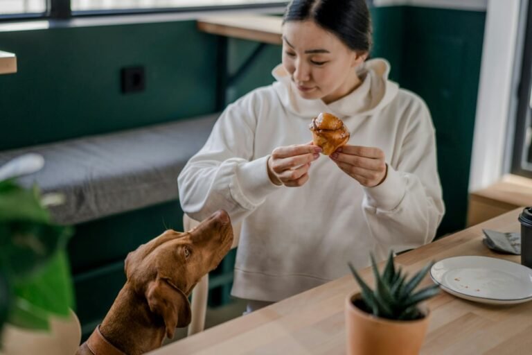 5 Rekomendasi Pet Friendly Cafe di Jakarta untuk Hangout di Akhir Pekan