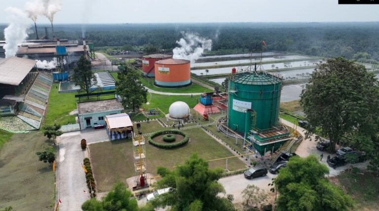 ROA PalmCo Tembus 7,9 Persen, Sinyal Penguatan Kinerja Aset Holding Perkebunan Nusantara