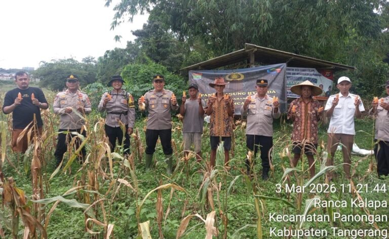 Polresta Tangerang Panen Jagung di Panongan 