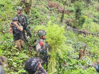 Jenderal Lucky Avianto Turun Gunung Hancurkan Ladang Ganja Di Pedalaman Rimba, Paska ‘Dilegalkan’ OPM Papua