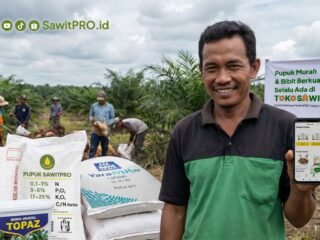Di Tengah Ketidakpastian Global, SawitPRO Hadir Mempermudah Petani Mendapatkan Pupuk Sawit dan Benih Unggul