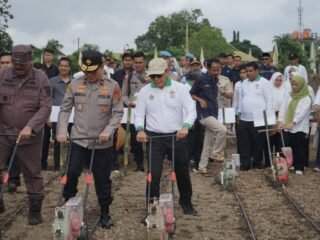 Dukung Ketahanan Pangan, Holding Perkebunan Nusantara Lewat PalmCo Perkuat Kemitraan Petani di Jambi