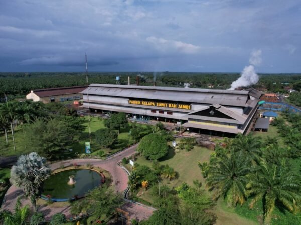 Melalui PalmCo, Holding Perkebunan Nusantara Perluas Akses Digital bagi Sekolah di Pelosok
